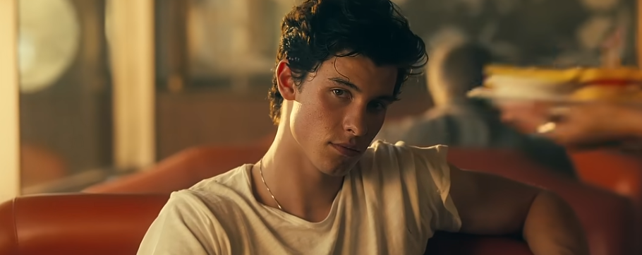 shawn mendes